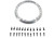 2019 RAPTOR BEAD LOCK RING KIT