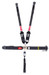 5-PT Harness System Steel Ratchet Left