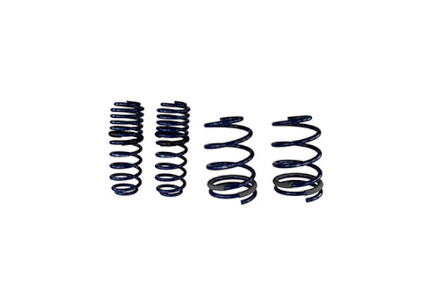 2005-2014 MUSTANG GT COUPE STREET LOWERING SPRINGS M-5300-KA