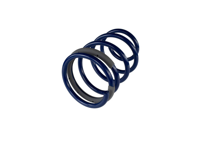 2005-2014 MUSTANG GT COUPE STREET LOWERING SPRINGS