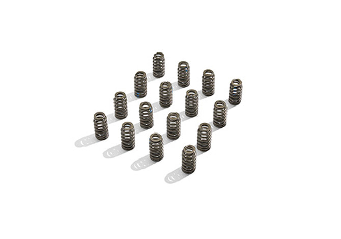 BOSS 302R VALVE SPRING KIT M-6513-M50BR