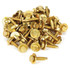 Body Bolt 1-1/8in 50pk Gold