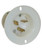 Kussmaul 120 Volt, 20 Amp 5378C Male Receptacle