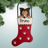 image of Brown Collie in Stocking ornament