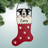 image of Black & White Collie in Stocking ornament