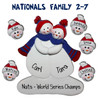 image of Washington Nationals team ornament