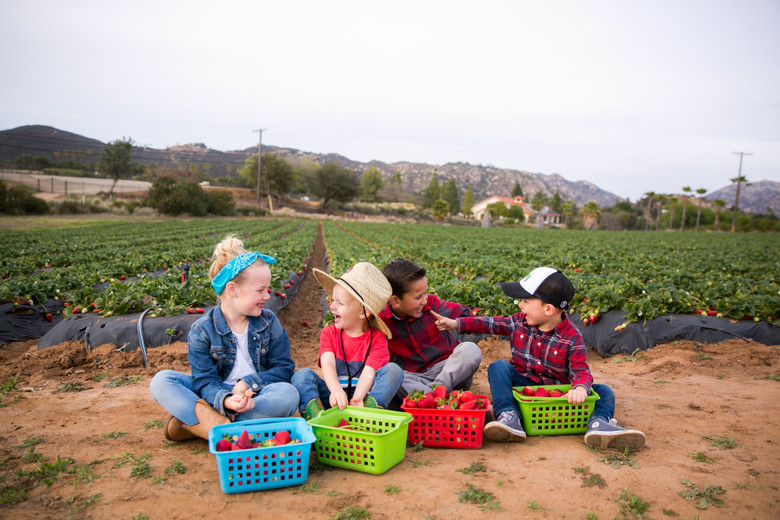 Ways to Keep Your Kids Busy This Summer 