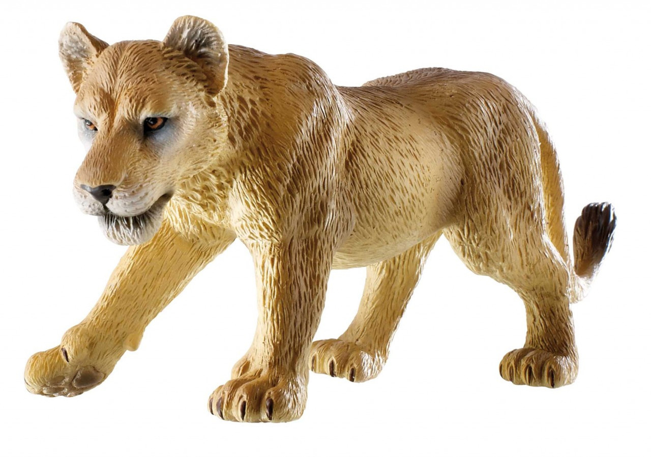 Mojo Wildlife - Lioness #387175 - Hunting For The Pride