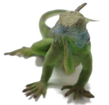CollectA Lizards - Iguana #88965 - Beautiful Green Coloring