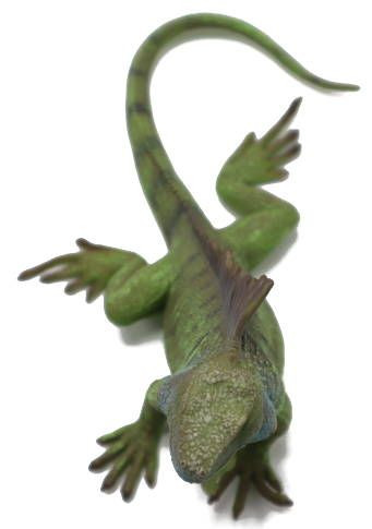 CollectA Lizards - Iguana #88965 - Beautiful Green Coloring