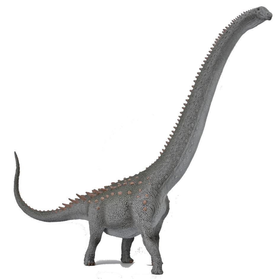 CollectA Ruyangosaurus Deluxe 1:100 #88971 A surprising find