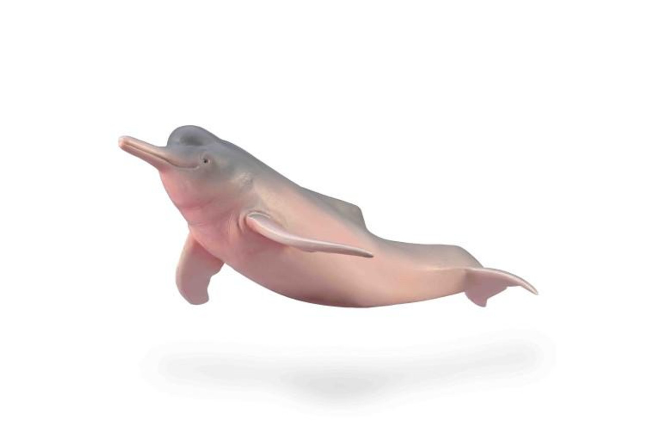 ヘンリー川原　en DOLPHIN Henry Kawahara = ヘンリー川原 – Dolphin Flow – Galapagos Records