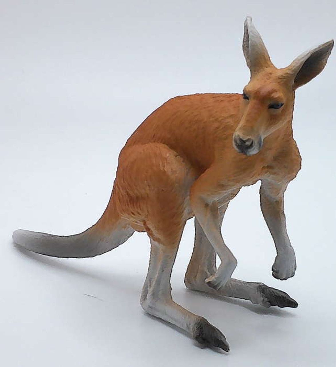 red kangaroo feet