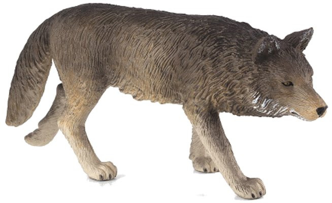 Mojo Timber Wolf - Walking #387026 - Nice Hair Texture