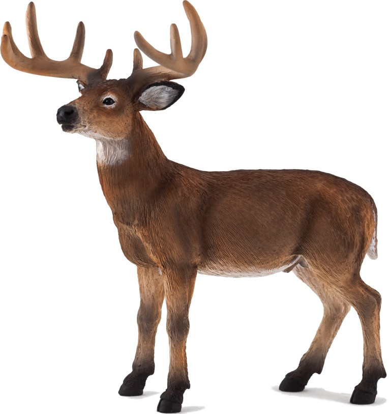 Mojo White Tailed Deer - Buck #387038 - 10 Point Buck