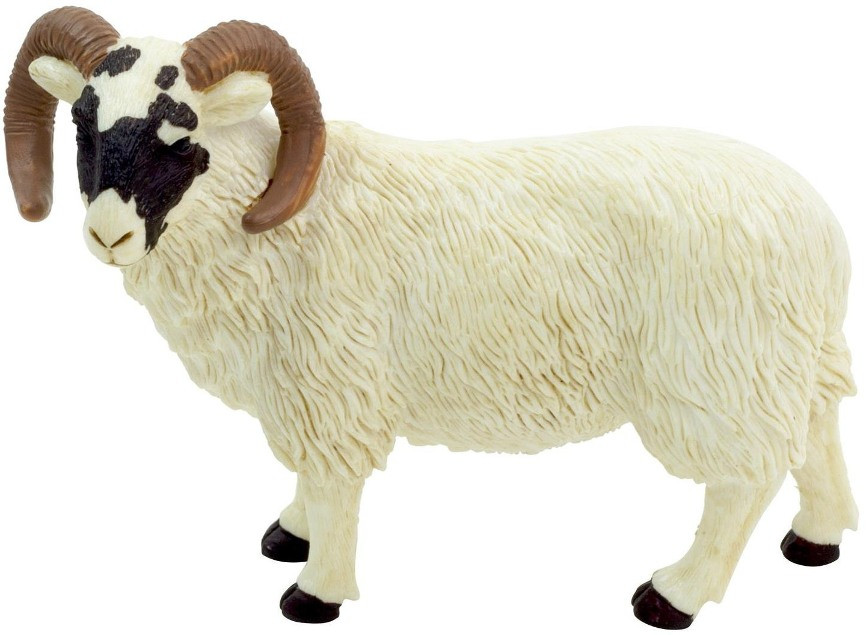 Mojo Black Faced Ram #387081-Curled horns, ready to butt head