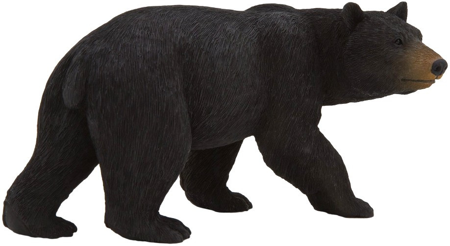 Mojo American Black Bear #387112 - Looking for a Bee Hive