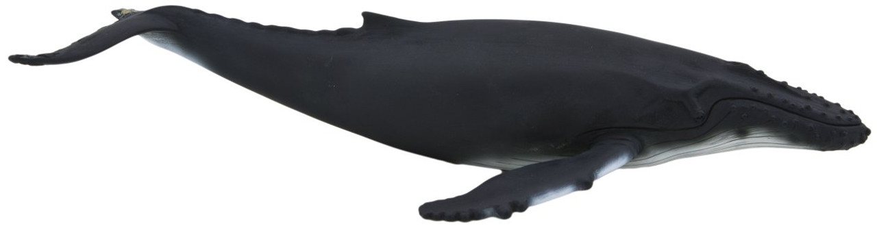 ENNOY×PRACO WHALE ENNOY×PRACO WHALE