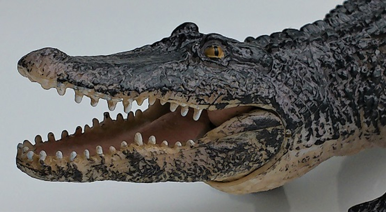 ●ALLIGATOR CITY Amazon.com: MOJO - Realistic International Wildlife Figurine