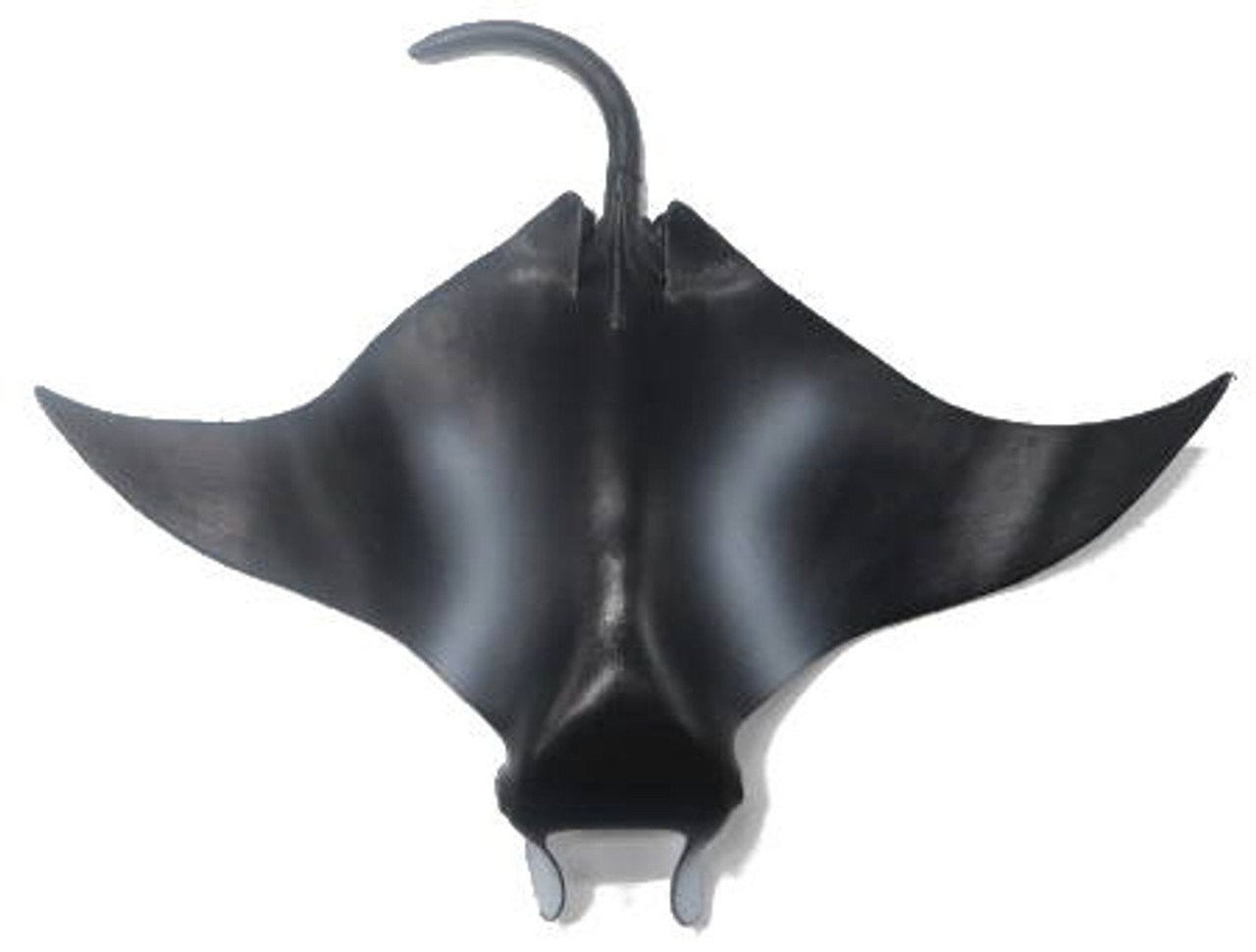 【JOLYN】 MANTA RAY(PRINTS)(2505) /追跡付 Mojo Sea Life - Manta Ray #387353 - Phantom Ghost of the Sea