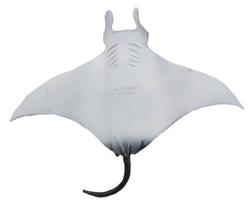 に*ん様 「正規品」9 hand Manta Ray 2.0 Mokume製　E Mojo Sea Life - Manta Ray #387353 - Phantom Ghost of the Sea