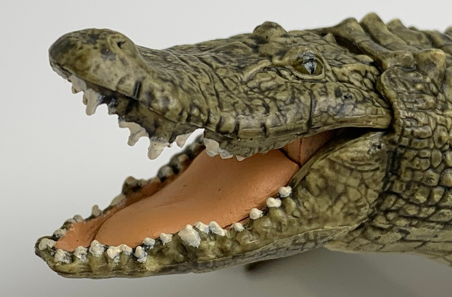 Papo Alligator #50254 - Upper Jaw Open and Closes