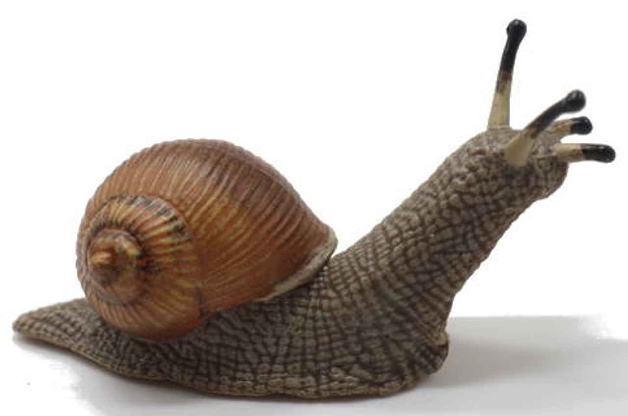 Papo Snail #50262 - Winsome figure with hardend shell