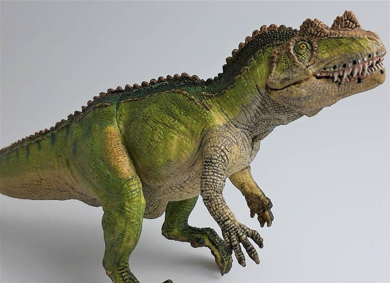 Papo(パポ)ケラトサウルス PVC PA55061 dwos6rj Amazon.com: Papo - Hand-Painted - Dinosaurs - Ceratosaurus