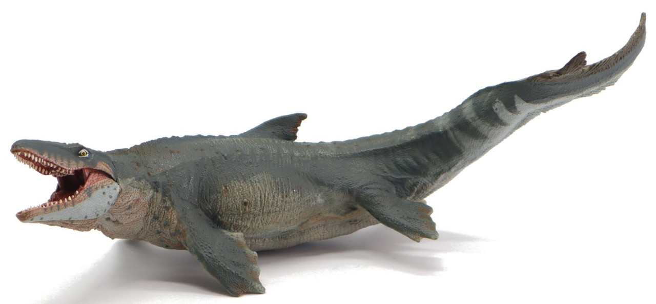 Collecta mosasaurus hot sale