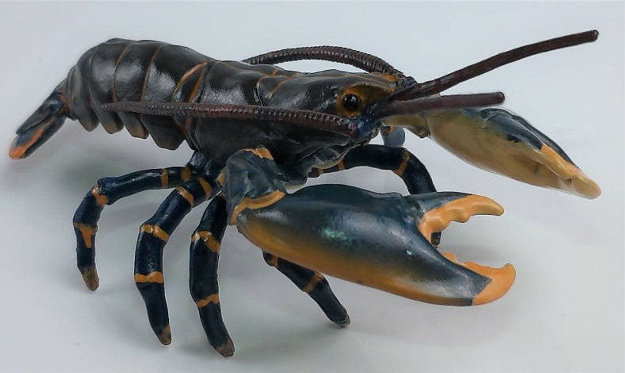 リリパットレーン　LOBSTER THE PIER Amazon.com: Papo Lobster : Toys & Games