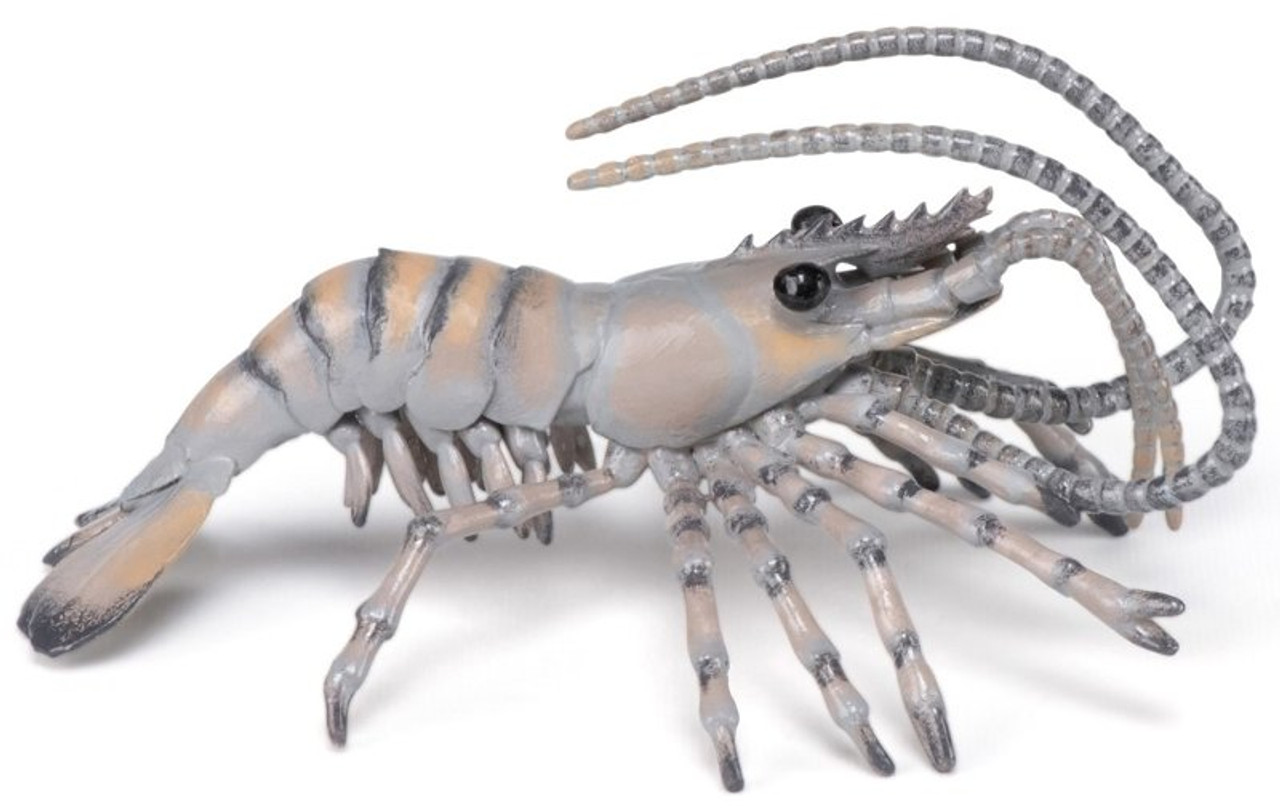 plastic toy shrimp, plastic toy shrimp Suppliers and Manufacturers