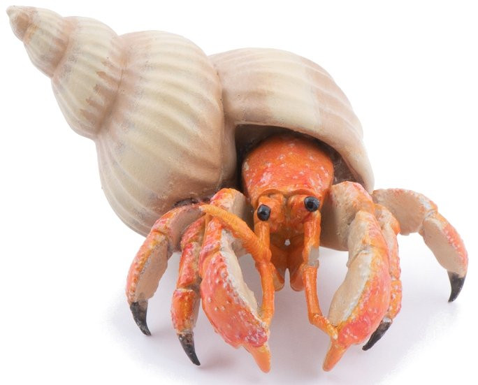 Papo Wild Animals - Hermit Crab #56054 - Hiding in Shell