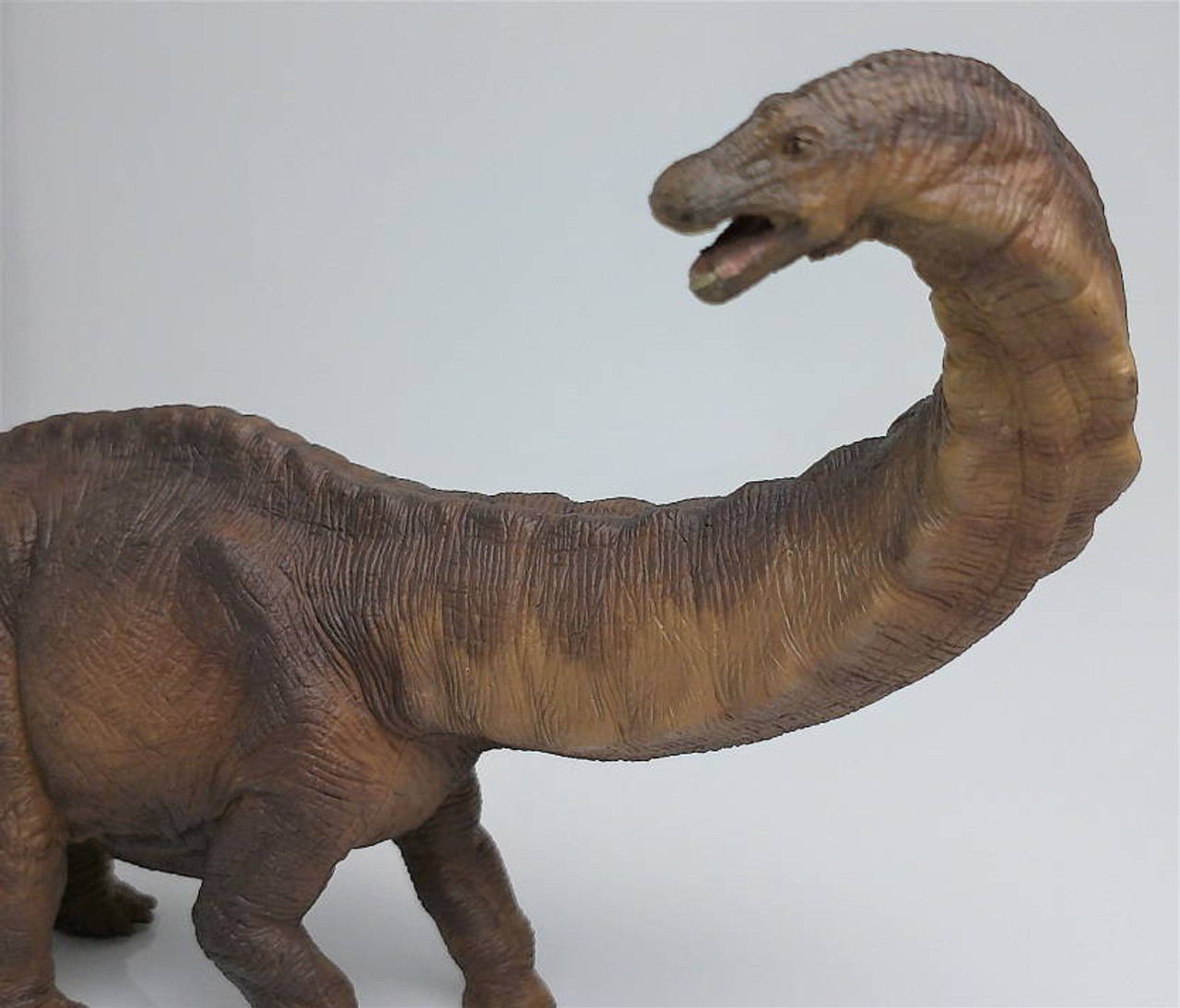 Apatosaurus papo hot sale