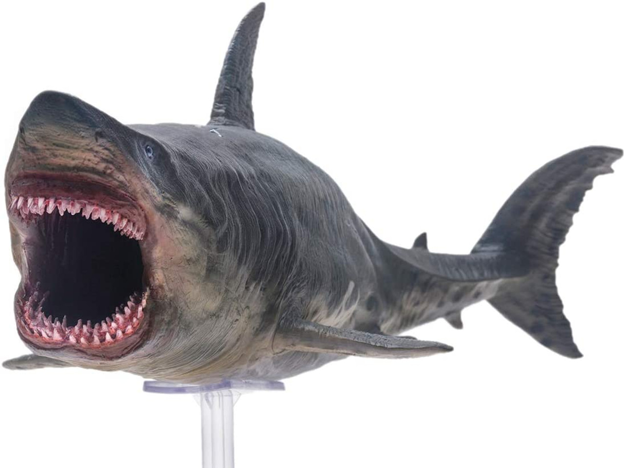 PNSO Patton The Megalodon #10-Large Version, rows of teeth