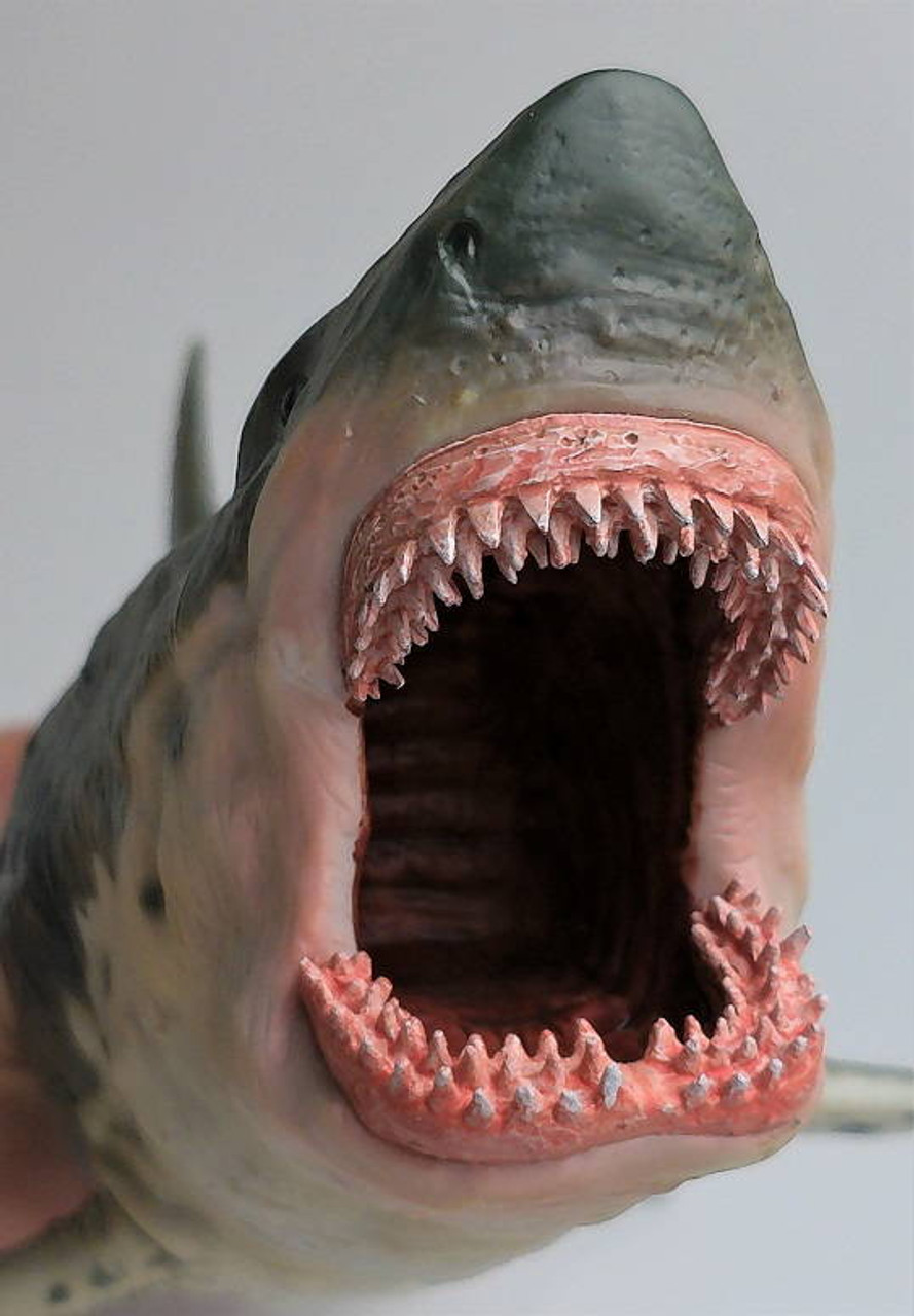 PNSO Patton The Megalodon #10-Large Version, rows of teeth