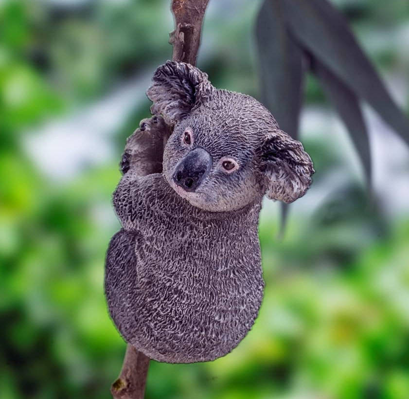 サーロイン様　koala PNSO Anny the Koala #201035 - Living Animal Series