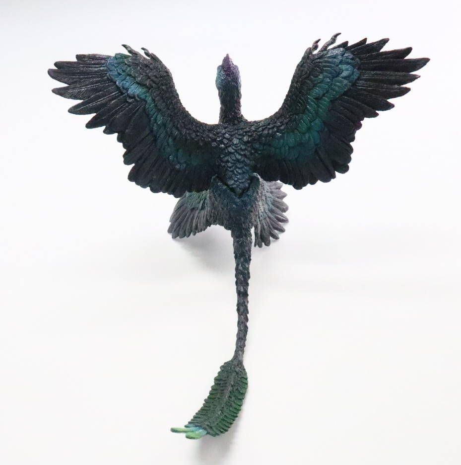 PNSO Gaoyuan the Microraptor #29 - Dinosaur Museum Series