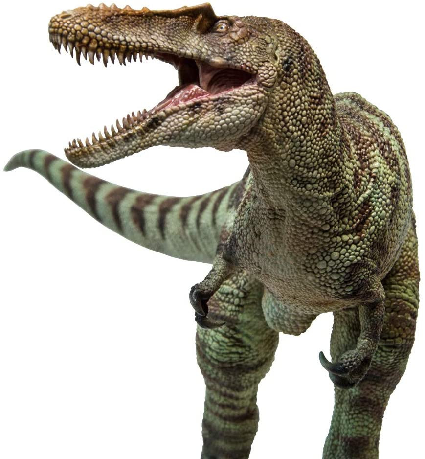 PNSO A-Shu The Qianzhousaurus #42 - Dinosaur Museum Series
