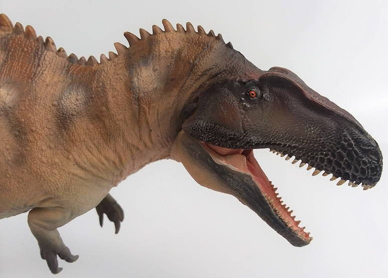 PNSO - Fergus the Acrocanthosaurus - New Release in 2022