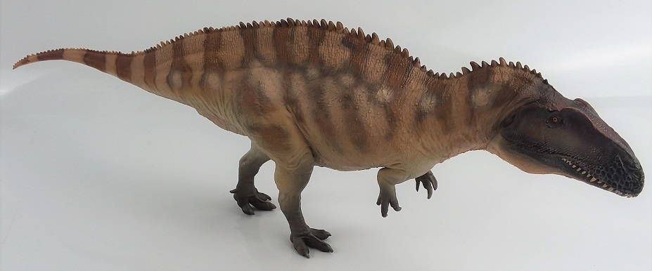 PNSO - Fergus the Acrocanthosaurus - New Release in 2022