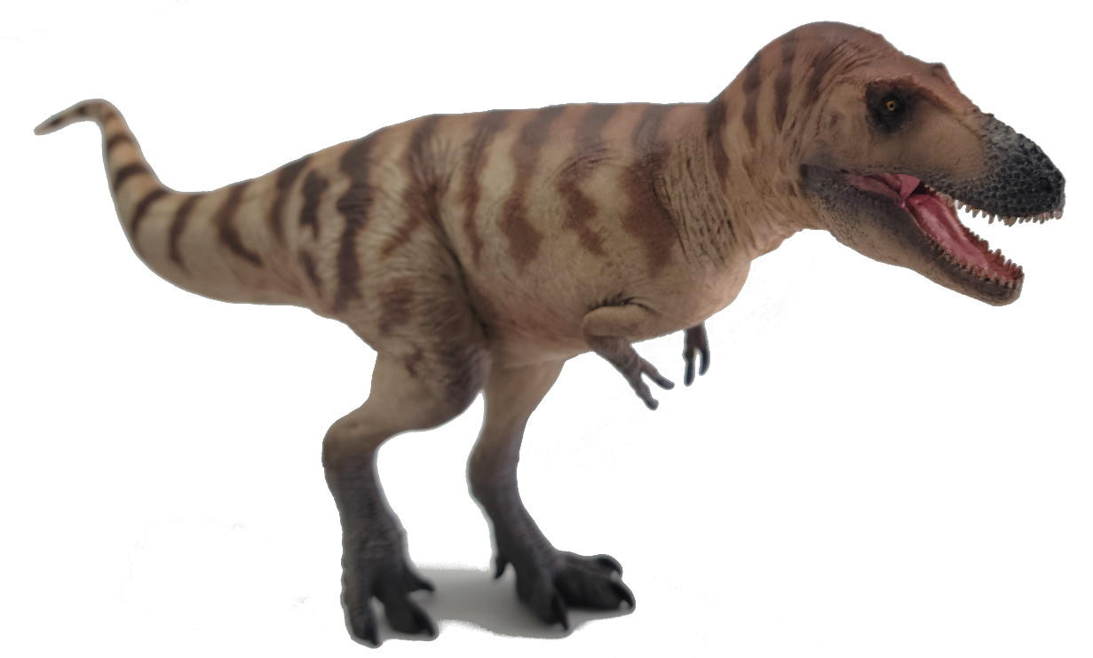 PNSO Cole the Daspletosaurus - Dinosaur Museum Series, Version
