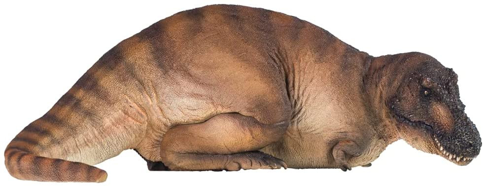 PNSO Andrea the Female Tyrannosaurus-New 2021 - Laying T-Rex