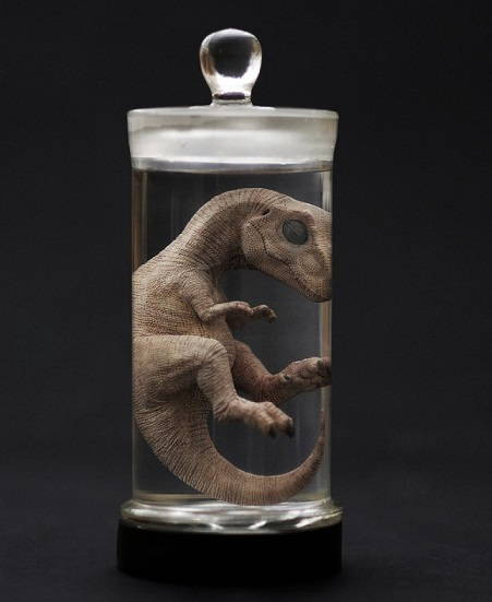 REBOR - T-Rex Wet Specimen Oddity #160505-Gastly Dino Embryo