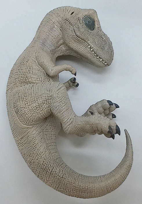 REBOR - T-Rex Wet Specimen Oddity #160505-Gastly Dino Embryo
