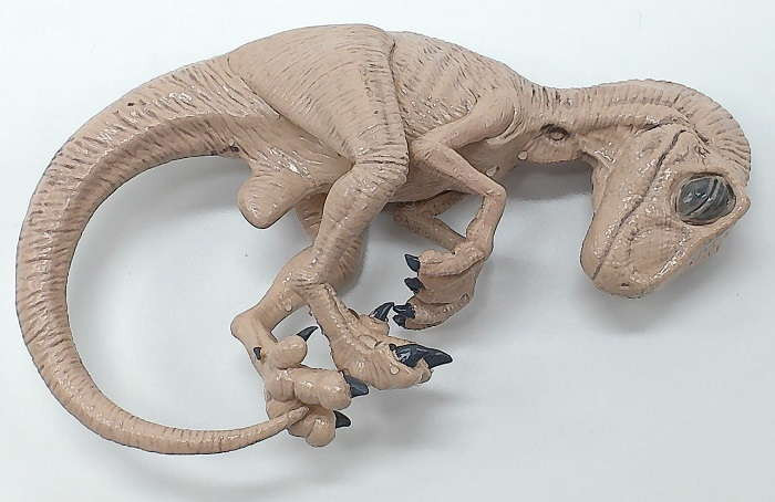 REBOR-Velociraptor Wet Specimen Oddity #160512 Gastly Embryo