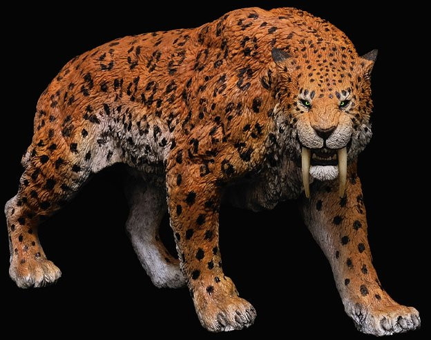 REBOR-Smilodon Stray Cat #160925 - Two interchangable heads