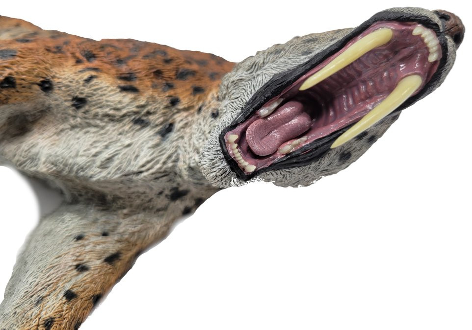 REBOR-Smilodon Stray Cat #160925 - Two interchangable heads