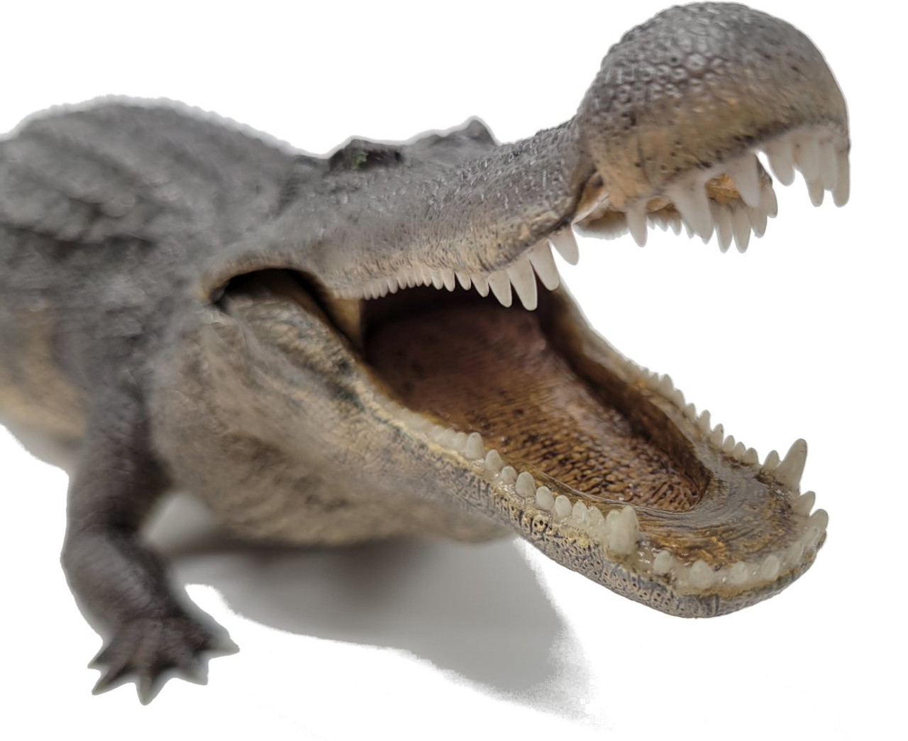 REBOR-deinosuchus #161007 - Huge mouth