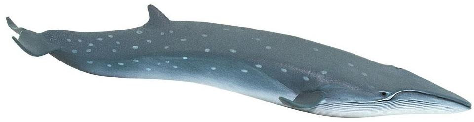 いさな=whale Safari Ltd. - Sei Whale #100098 - Fastest Whale in the Sea