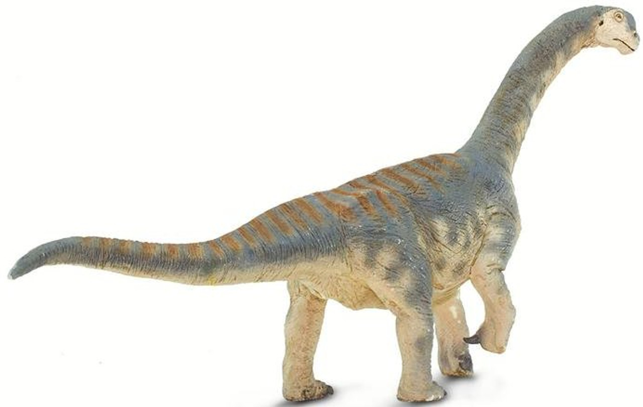 safari Amazon.com: Safari Ltd. Majungasaurus Figure - Detailed 10